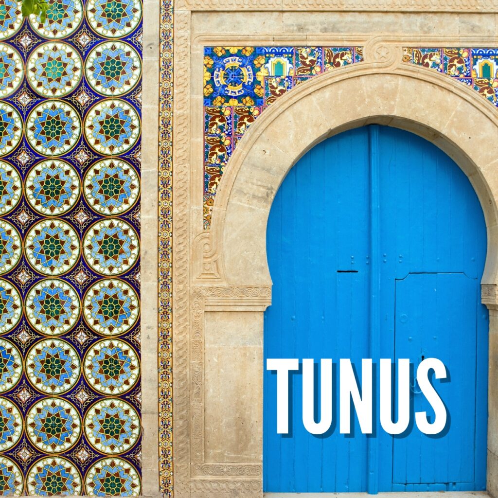 türkiye tunus avukatlık ortaklığı tunusta avukat partnerlik hukuk