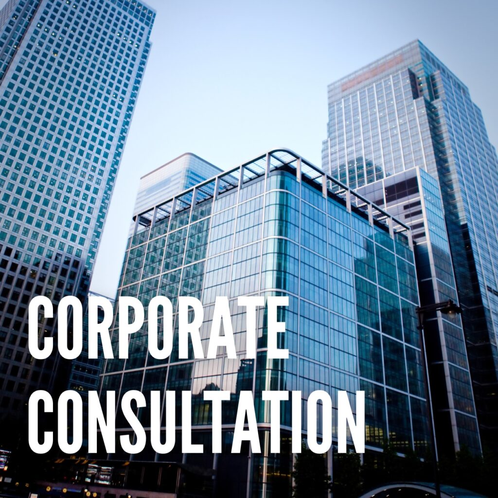 corporate lawyer attorney in istanbul turkey atasehir international lawyer