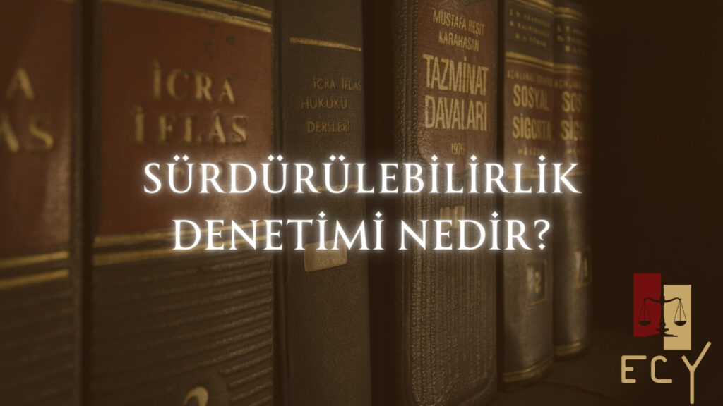 Sürdürülebilirlik Denetimi Nedir? Amaçları, Kapsamı ve Önemi