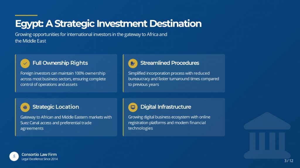 mısırda neden şirket kurmalısınız ne faydası olur mısırda türk yatırımcılar şirketler