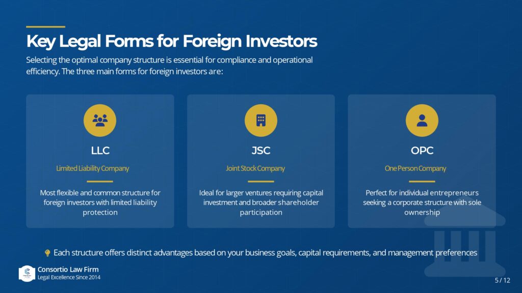 mısırda hangi şirket türleri kurulabilir yabancı yatırımcılar hangi şirketleri tercih etmeli