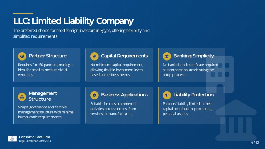 mısırda limited şirket kurmanın avantajları nelerdir nasıl kurulur ne gibi korumalar sağlar