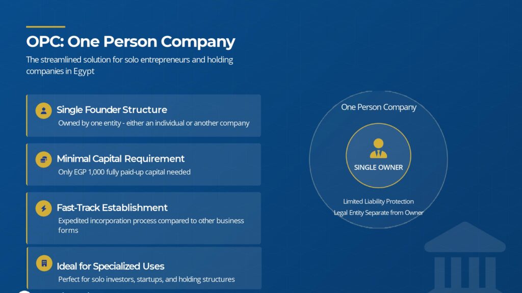 mısırda şahıs şirketi kurulabilir mi türkler mısırda şirket açabilir mi