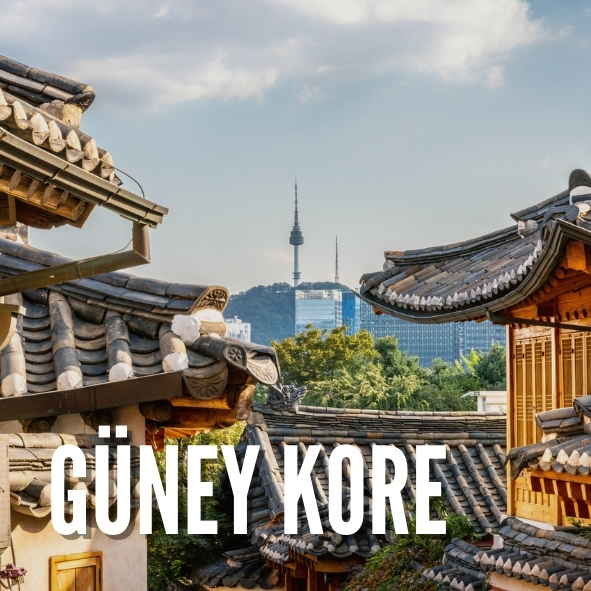 güney kore türkiye avukatlık danışmanlık kore ile ticaret avukatı lazım kore hukuku istanbul seul hukuk danışman