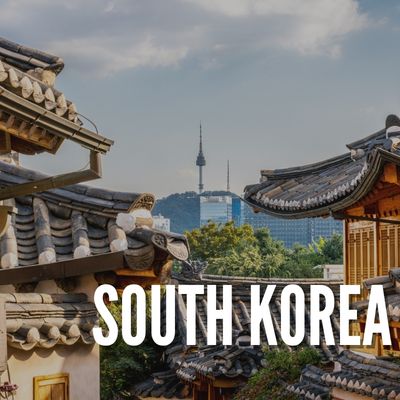 turkey south korea partner law firm attorney legal consultation korea seoul istanbul lawyer consultancy